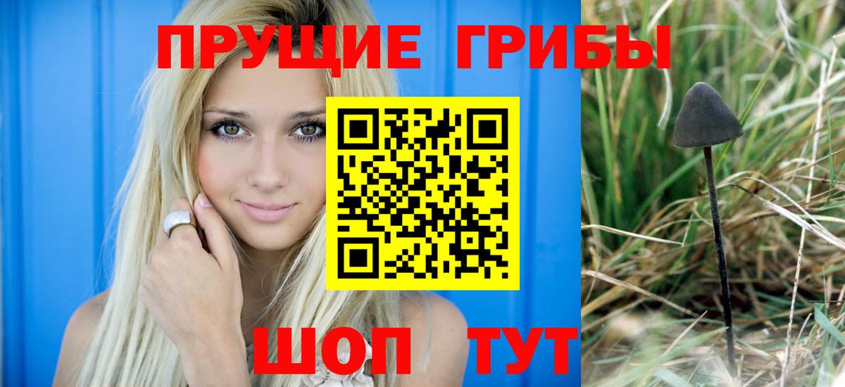 Владикавказ  Псилоцибиновые грибы Psilocybine cubensis  Псилоцибиновые грибы ЛСД  Вход с VPN 